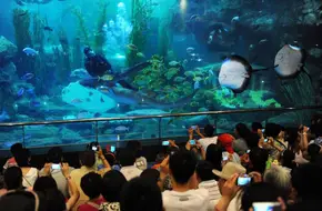 Marine Life Museum