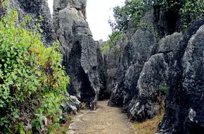 Naigu Stone Forest Scenic Area