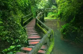 Hidden Dragon Gorge Plank Road