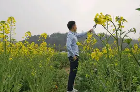 Wugen Mountain