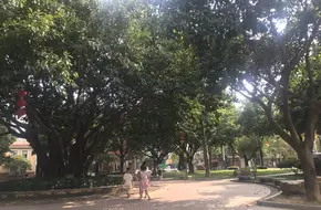 Xinshuikeng Park