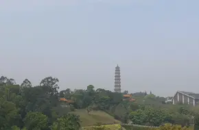 Guanyin Overlooking The Sea