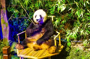 Qingdao Binhai University World Animal Natural Ecology Museum