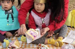 Delightful Surprise Eco-Park