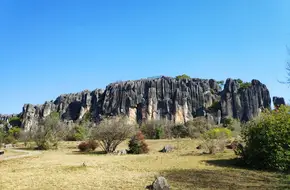 Naigu Stone Forest Scenic Area