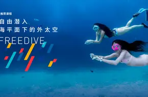 Wave Chaser Diving Club