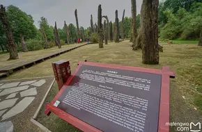 Jinsha Site Museum Ebony Forest
