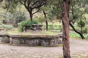 Luodai Park