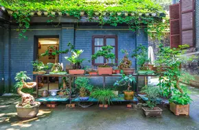 Guiyuan