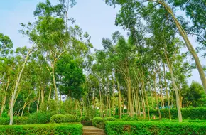 Zhonglun Park
