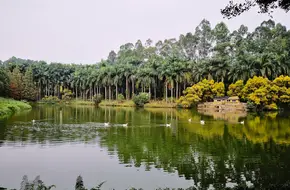 Four Seas Equestrian Manor