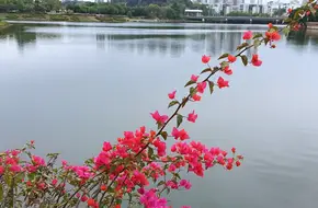 Jin Mountain Lake Cultural Park