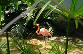 Chengdu Zoo
