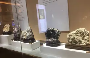 Bao Pu Museum