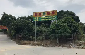 Jigang Bai Guo Yuan