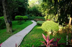 Xinghai Garden