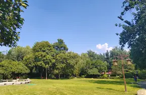 Tang Dynasty Great Mercy Monastery Site Park