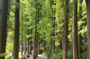 Lianhua Mountain Ancient Quarry Site