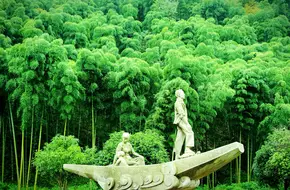 Anji China Bamboo Sea
