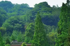 Elder Plateau