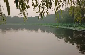 Qichun Yuan