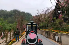 Jiulong Temple
