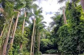 Hualong Agricultural Grand View Park - Four Seas One Square