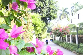 Dafu Mountain Forest Park - Scenic View Pavilion