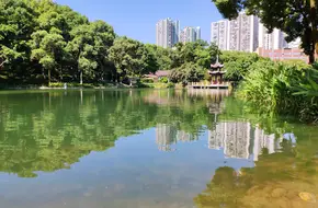 Shaping Park
