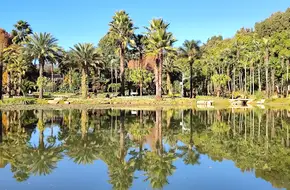 Kunming Botanical Garden