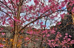 Hei Shi Qing Scenic Area