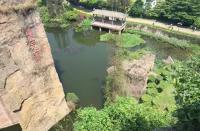 Swallow Rock