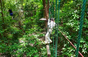 Flying Over The Jungle Outdoor Adventure Park