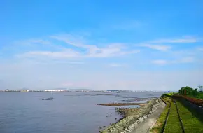 Gull Island