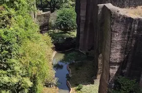 Lotus City