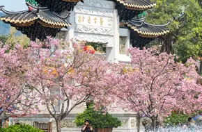 Baomo Garden