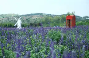 Herb Culture Expo Park
