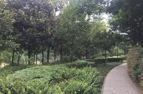 Shahe Park