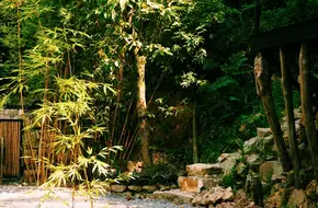 Chongqing Nanshan Botanical Garden