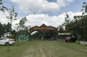 Delightful Surprise Eco-Park