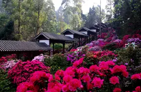Hua Wu Ren Jian Scenic Area