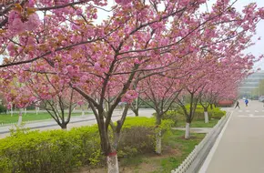 China University Of Petroleum