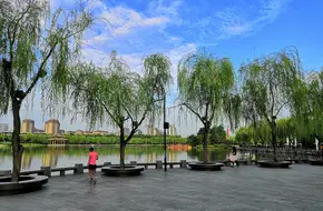 Qujiang Pool Site Park