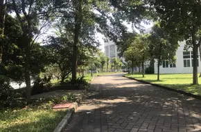 Banyan Garden