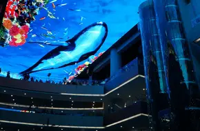 Qin Han Tang International Cultural And Commercial Square