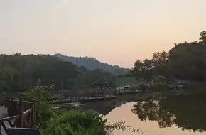 Dafu Mountain Forest Park - Scenic View Pavilion