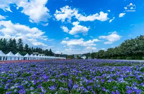 Kunming World Horticultural Expo Garden