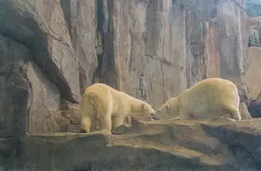 Qujiang Ocean Park