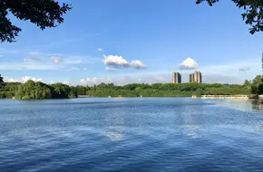 Dafu Mountain Forest Park