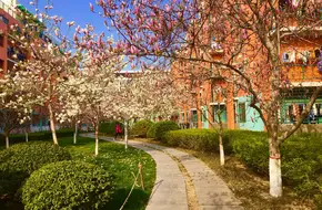 China University Of Petroleum
